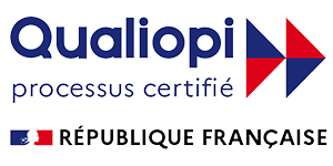 formation-auditeur-interne-pilote-de-processus-Iterative