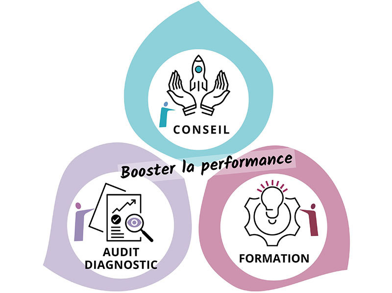 schema-cabinet-de-conseil-en-organisation-et-management-Iterative